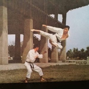 Photo of Yoosun Lee performing a flying side kick over another martial artist